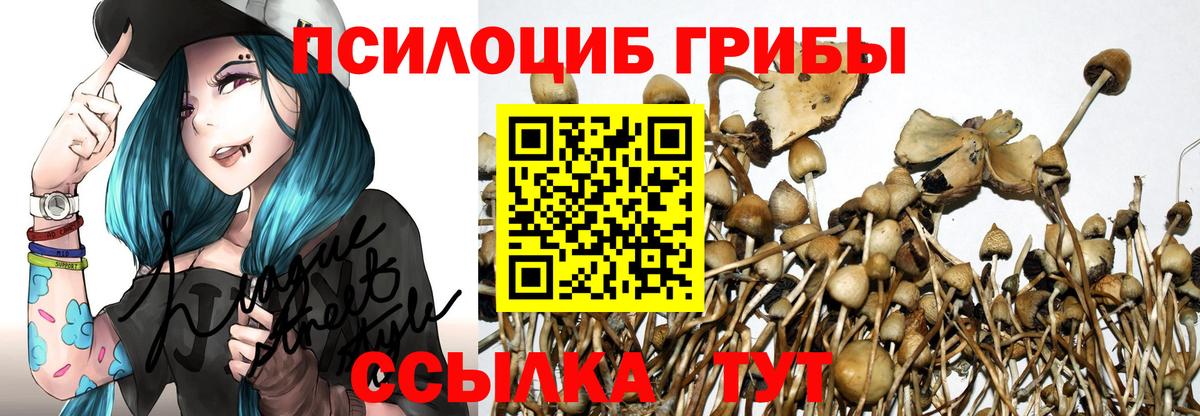 Галлюциногенные грибы Psilocybe  Вход с VPN  Шахты 