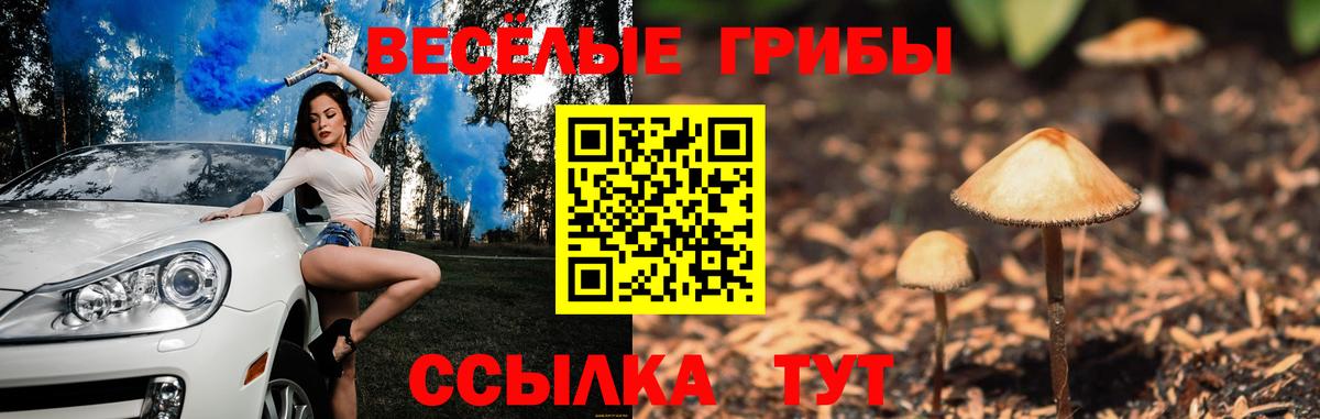 Галлюциногенные грибы мухоморы Шахты